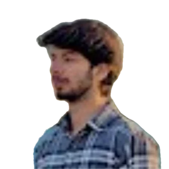 Muneeb Ul Hassan, Web Developer